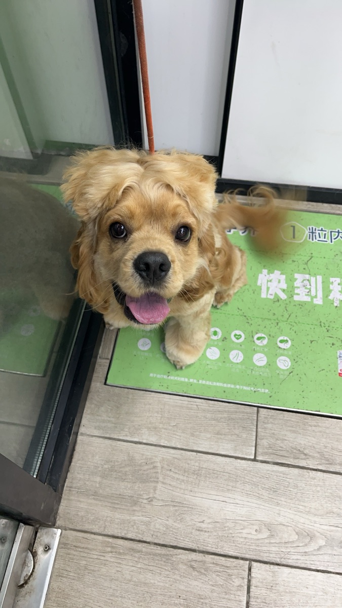 哇塞图图的照片